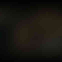 Code Violet Game News, Trailer, Gameplay und Screenshots zum Action Horror Game von Teamkill Media für PS5.