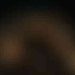 Kompromissloser 3rd-Person-Action-Thriller BLACKWOOD enthüllt - Trailer, Screenshots und Infos zum Spiel