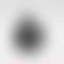 ssassin's Creed Black Flag Resynced: Collector's Edition Inhalt, Preis und Bilder