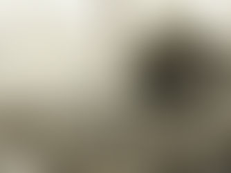 The(G)net Review: Resistance: Fall of Man