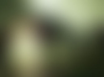 4:LOOP: Koop-Shooter von Sony und Bad Robot Games für PS5 und PC angekündigt