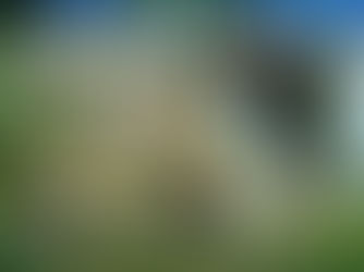 The(G)net Review: Enslaved: Odyssey to the West