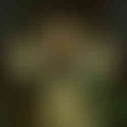 Forgive Me Father 2 Game News, Trailer und Screenshots zum Egoshooter für PlayStation, Xbox, Switch und PC