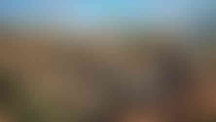 Assassin’s Creed Black Flag Resynced Trailer, Showcase, Gameplay, Screenshots