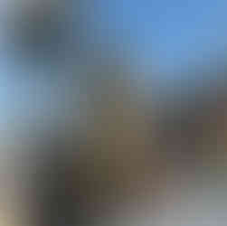 Fallout 4 NextGen Update PlayStation Xbox Series Screenshots News Information Inhalt 60fps