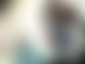 The(G)net Review: Prototype 2