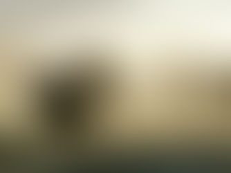 The(G)net Review: Medal of Honor (2010)