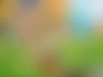 Everdream Valley - Abenteuer auf dem Bauernhof