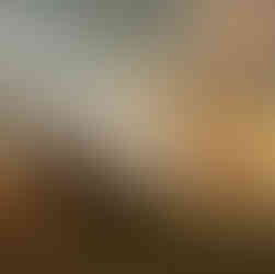 TankRat Trailer, Screenshots und Infos