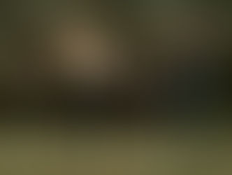 World War Z x The Walking Dead DLC - Infos und Trailer