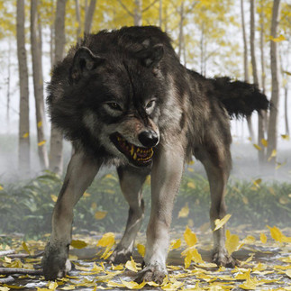 Ghost of Yotei - Trailer, News, Bilder und Infos zum Ghost of Tsushima Nachfolger für PlayStation 5.