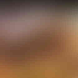 The Elder Scrolls IV: Oblivion Remastered leaked Screenshots und Release-Datum