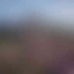 The Legend of Khiimori Gameplay, Trailer, Screenshots und Infos zum Spiel.