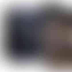 ssassin's Creed Black Flag Resynced: Collector's Edition Inhalt, Preis und Bilder