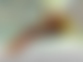 The(G)net Review: Invizimals: Das verlorene Königreich