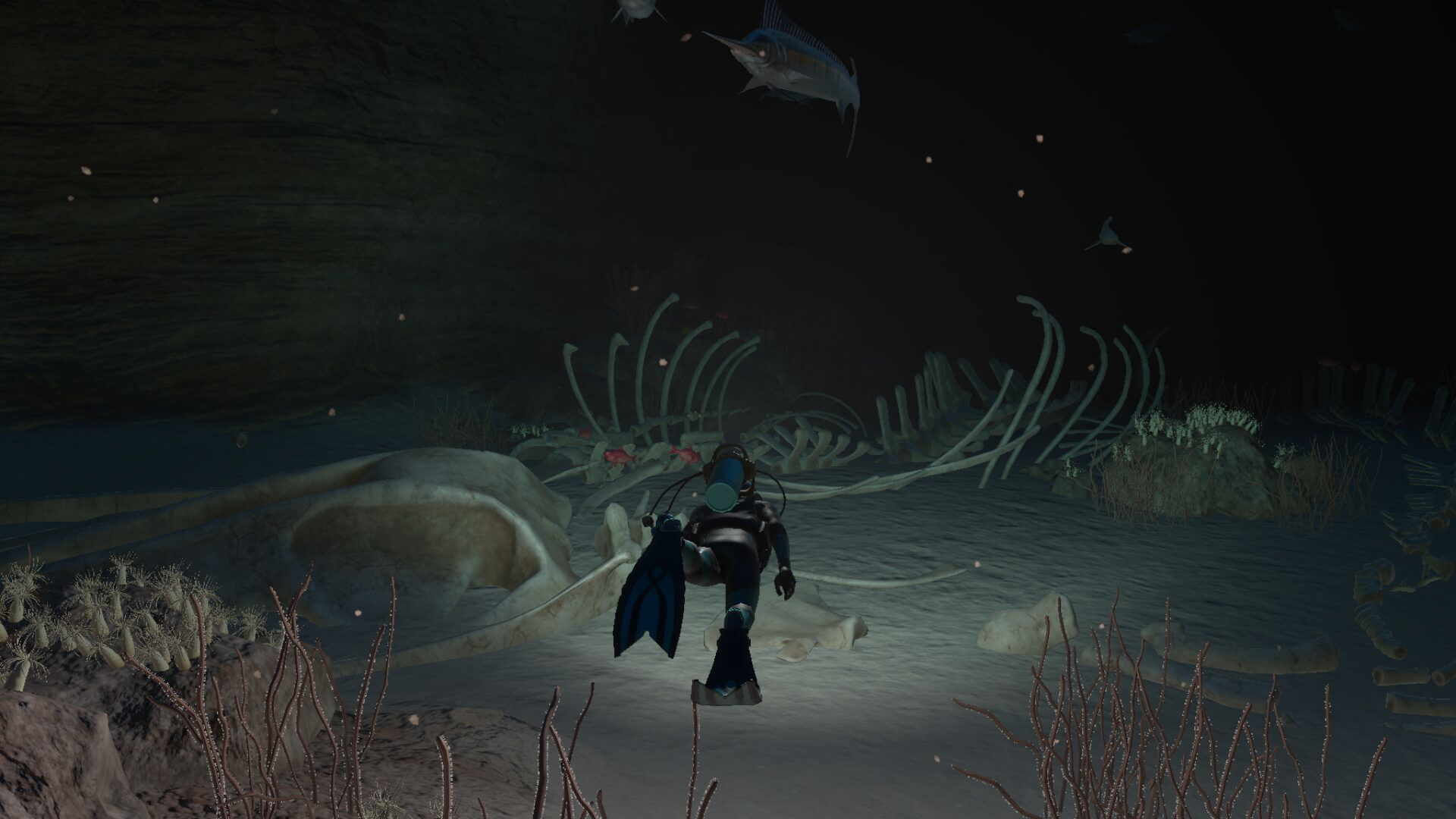 Endless Ocean Luminous News Trailer Screenshots Gameplay Nintendo Switch