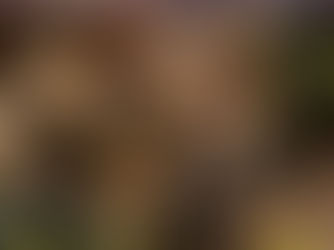 The(G)net Review: Uncharted 2: Among Thieves