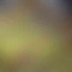 Yasha: Legends of the Demon Blade Game News, Trailer, Gameplay und Screenshots.