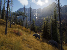 Way of the Hunter von THQ Nordic angekündigt