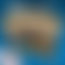 (G)Adventskalender 2023: Tag 4