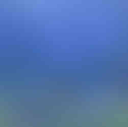 Endless Ocean Luminous News Trailer Screenshots Gameplay Nintendo Switch