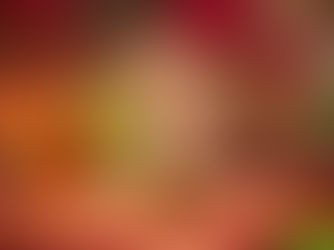 Story-Trailer zu Garden Witch Life