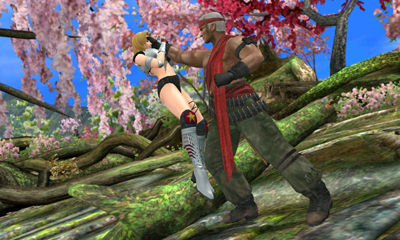 Dead or Alive: Dimensions Test, Review, Testbericht für Nintendo 3DS