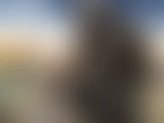 The(G)net Review: Playerunknown's Battlegrounds