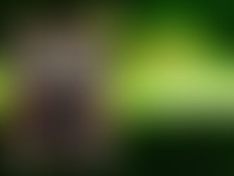 The(G)net Review: Brothers in Arms: Road to Hill 30