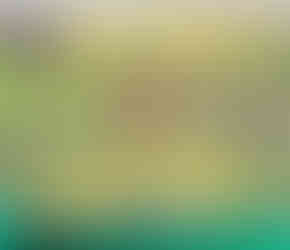 Mushihimesama Bug Panic Test, Review, Testbericht.