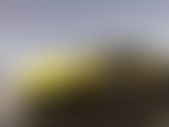 The(G)net Review: Forza Horizon 2