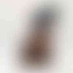 ssassin's Creed Black Flag Resynced: Collector's Edition Inhalt, Preis und Bilder