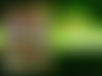 The(G)net Review: Conker: Live & Reloaded