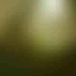 Chickenhare and the Treasure of Spiking Beard Game News, Trailer und Screenshots zum Jump'n Run von N-Zone