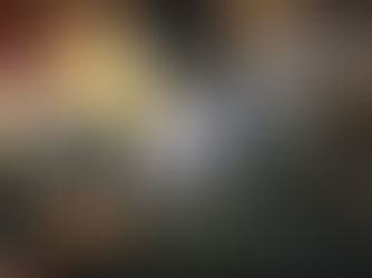 The(G)net Review: Bulletstorm