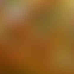 Garden Witch Life News, Gameplay Trailer und Screenshots für Nintendo Switch, Xbox Series und PlayStation 5