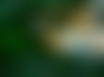 Shoot'em Up X-Out: Resurfaced angekündigt