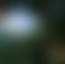 Donkey Kong Country Returns HD News, Trailer, Screenshots für Nintendo Switch