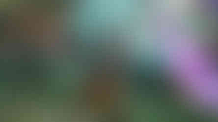 Borderlands 4 Gameplay Deep Dive - State of Play 30. April 2025