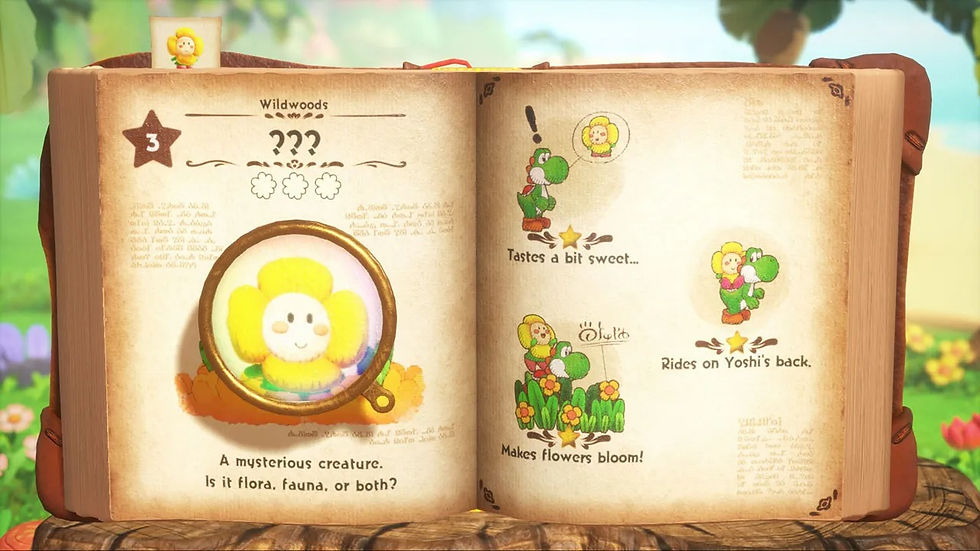 Yoshi and the Mysterious Book Test, Review, Testbericht. Wertung und Fazit.