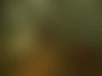 Jumanji: Wilde Abenteuer erscheint dieses Jahr für Konsolen und PC