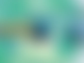 The(G)net Review: Pokémon X