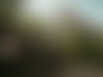 The(G)net Review: Far Cry 6