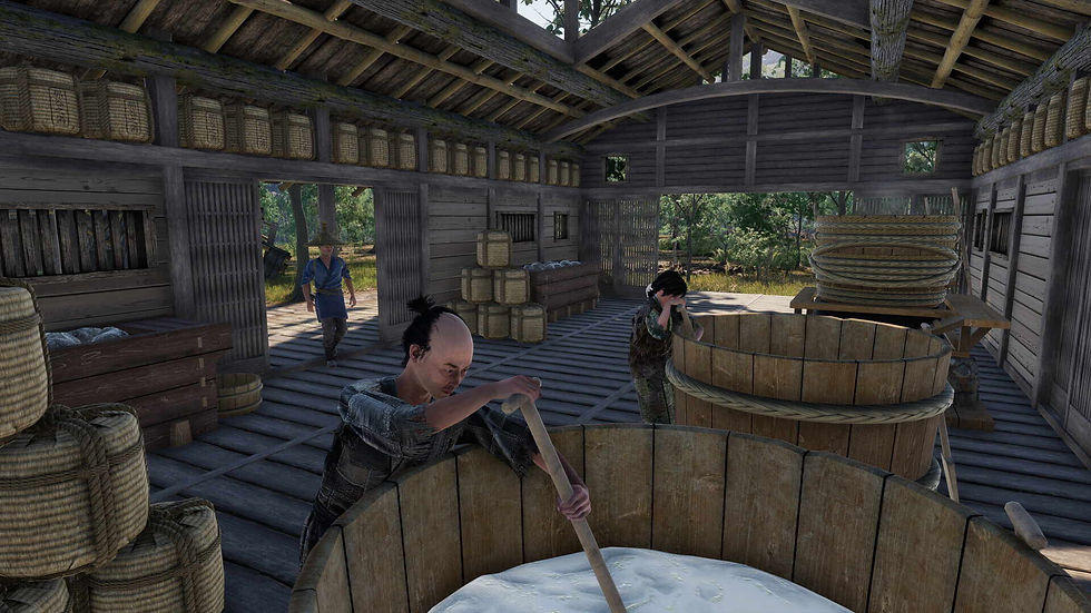 Sengoku Dynasty Test, Review, Testbericht der Konsolen-Version. Wertung und Fazit.