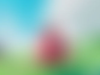 A Pizza Delivery Test, Review, Testbericht. Wertung und Fazit.