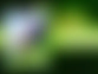 The(G)net Review: International Superstar Soccer 2