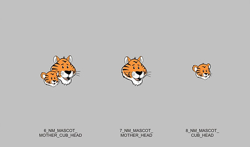 NM_MASCOT_ASSETS.jpg