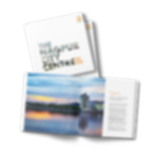 untitled-project_2x (2).png