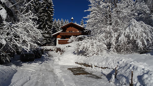 DSC00083 - Kopie - Kopie.JPG