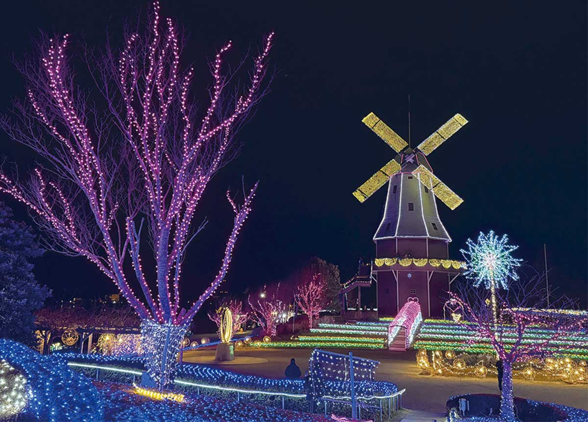 1月12日㈷まで 第14回光がつくる“Art”水郷桜イルミネーション